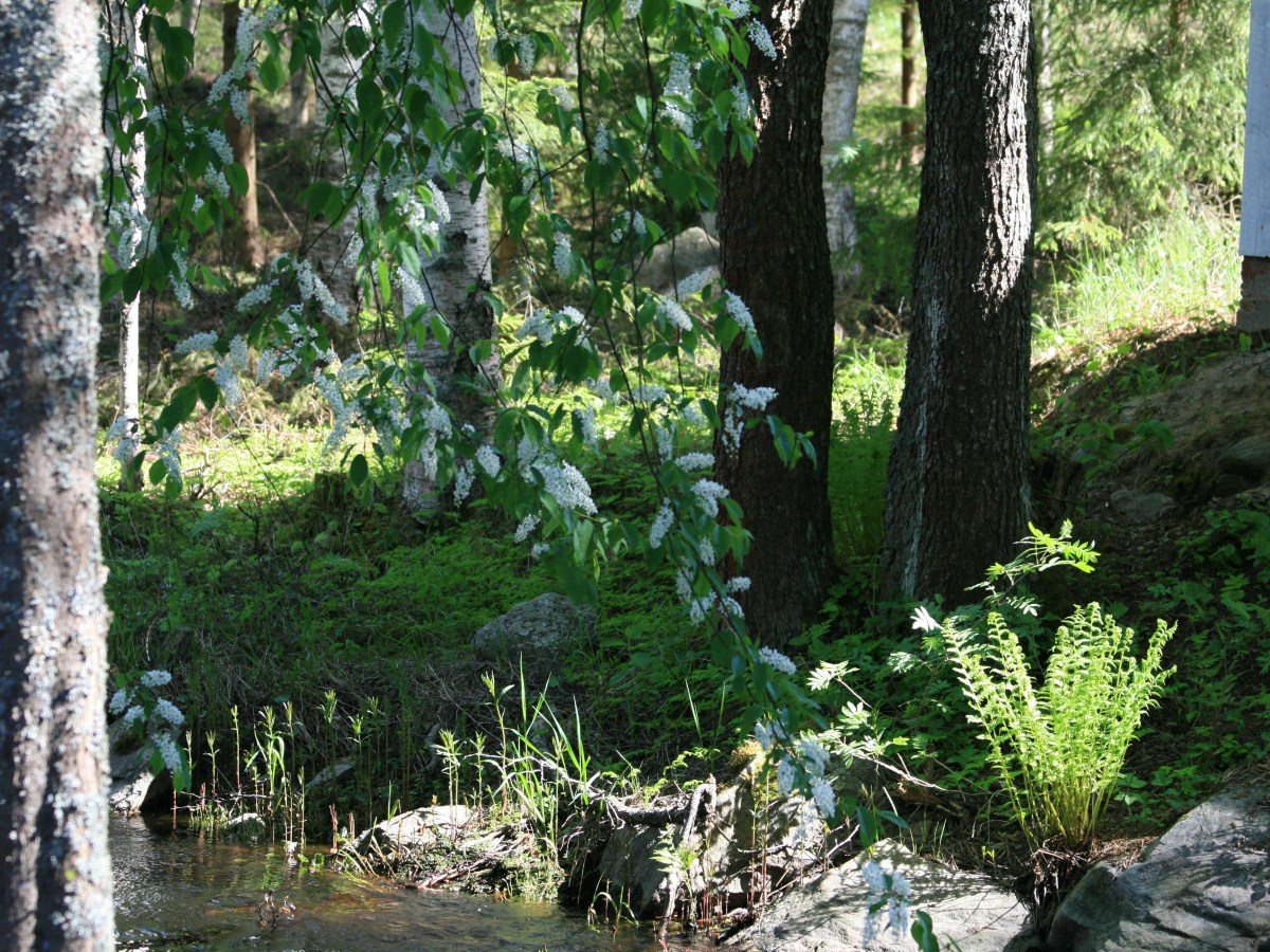 Kognitiivisen psykoterapian  hypnoterapiahoito